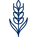 Иконка Сельскохозяйственные пленки