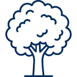 Иконка Упаковка для деревообрабатывающей отрасли